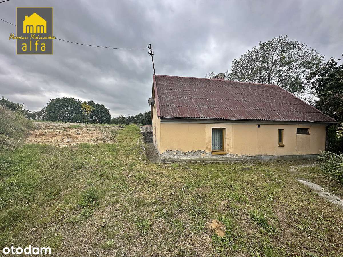 Nowe*Nowy Świat*Działka 3773m2*OD Zaraz-12