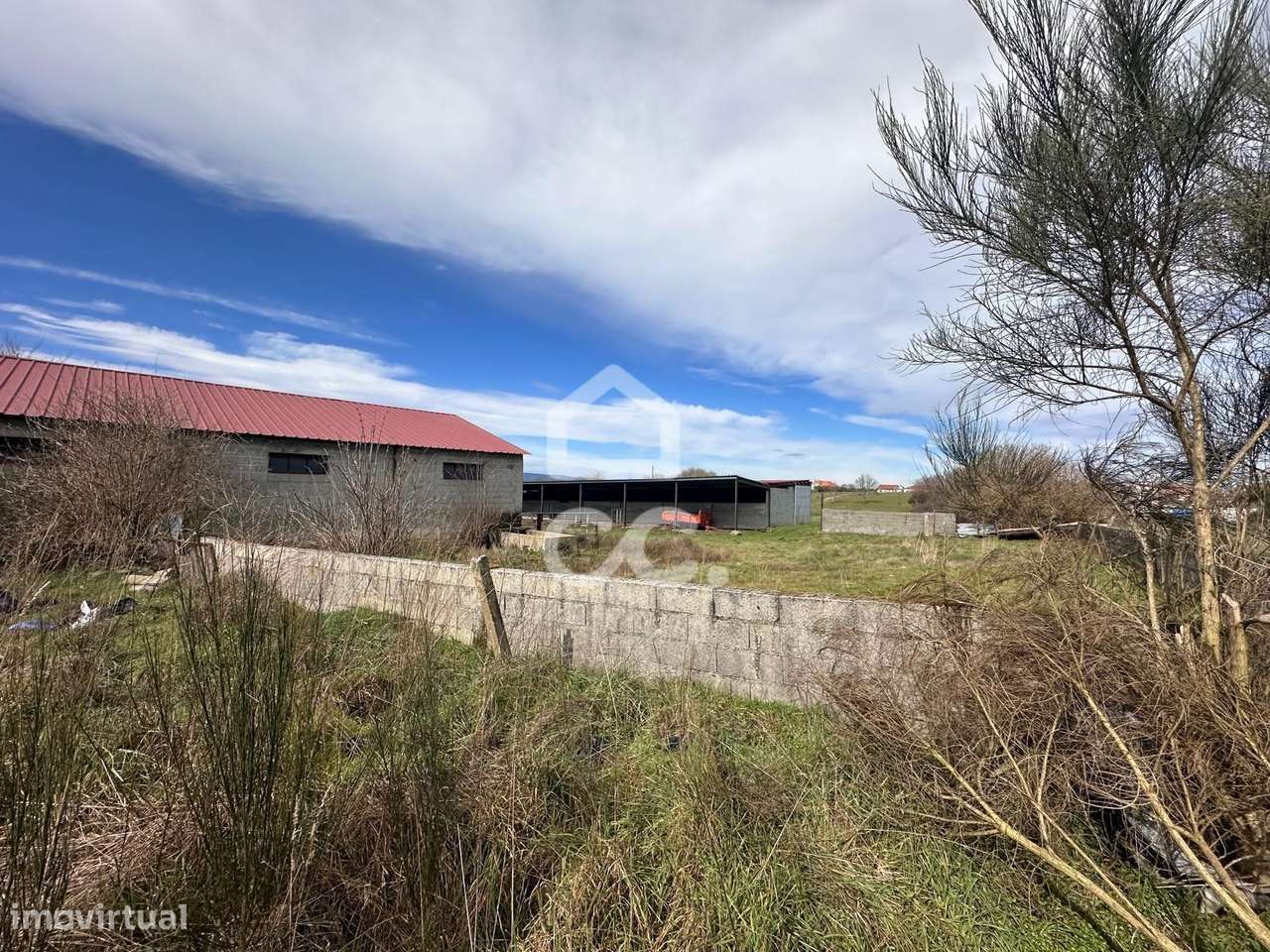 Armazém com terreno - Grande imagem: 5/14