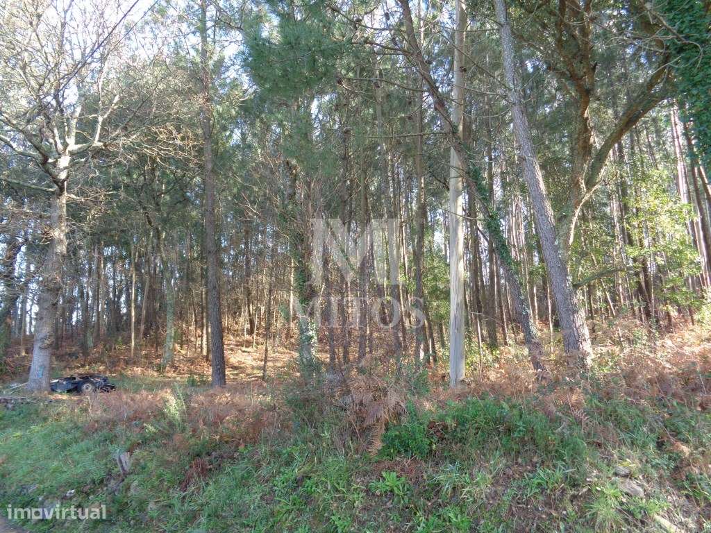 Ruína em Pedra para reconstruir, situada em Vilar de Mouros - Grande imagem: 5/7