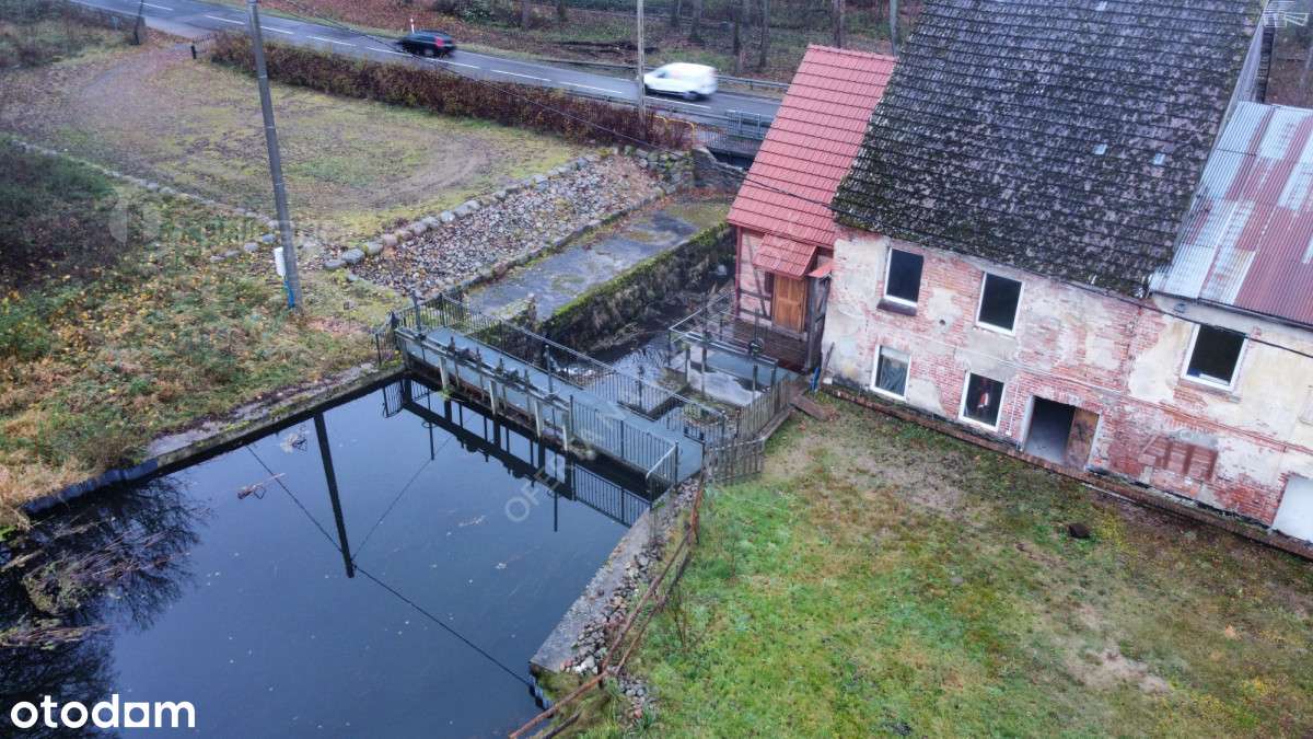Duża działka z zabudowaniami i Mew, Trzebielino - Pełny obrazek: 4/20