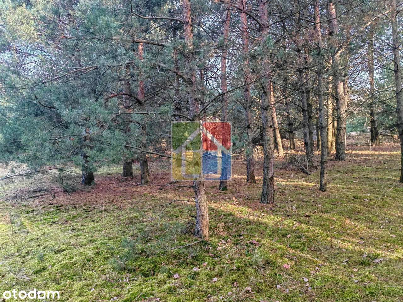 Blisko lasu i rzeczki – atrakcyjna działka pod zabudowę jednorodzinną!-6