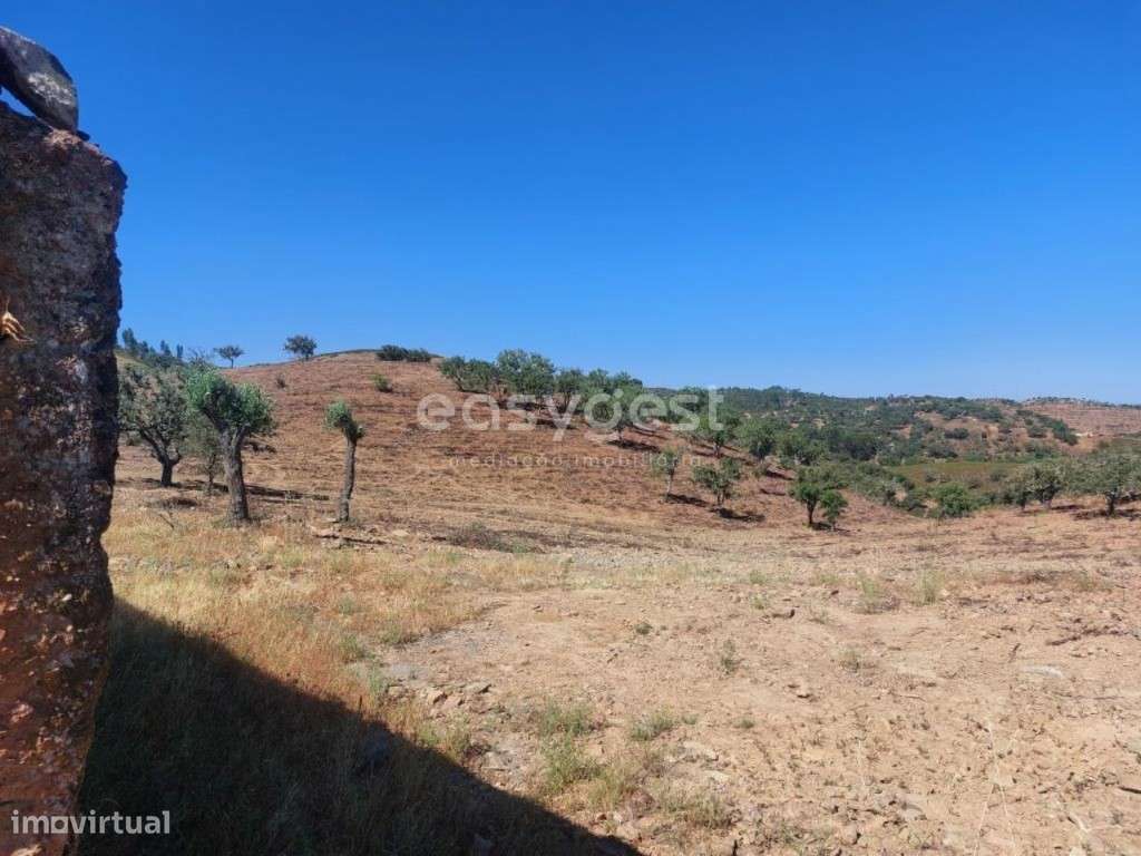 Monte Alentejano para recuperar localizado em Santana da Serra - Grande imagem: 4/28