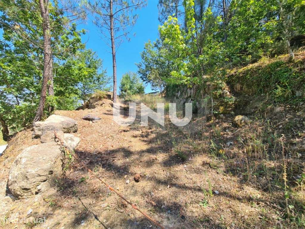 Terreno em Zona Urbanizável - Vistas Fantásticas - Grande imagem: 5/11