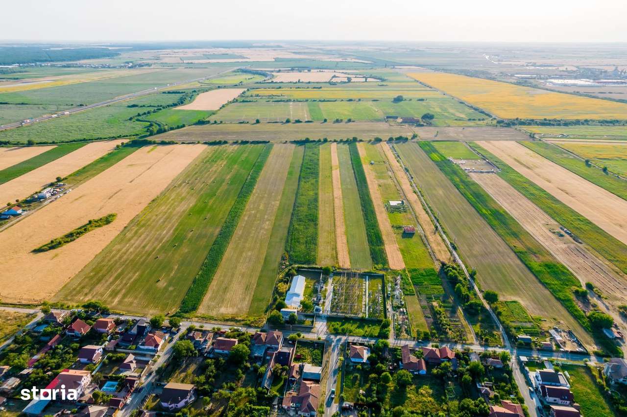 Teren de 10.000 mp situat în Bujac, Arad - Imagine principală: 4/6
