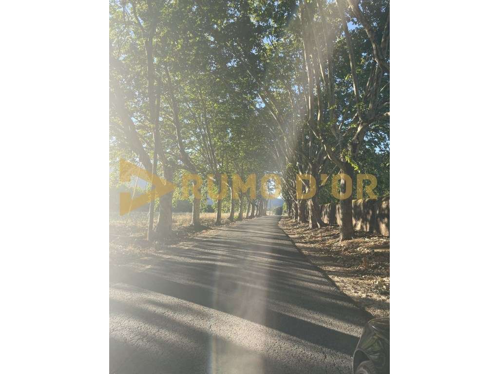 Terreno urbano para construção de moradia geminada - LOTE 12 - Grande imagem: 5/6