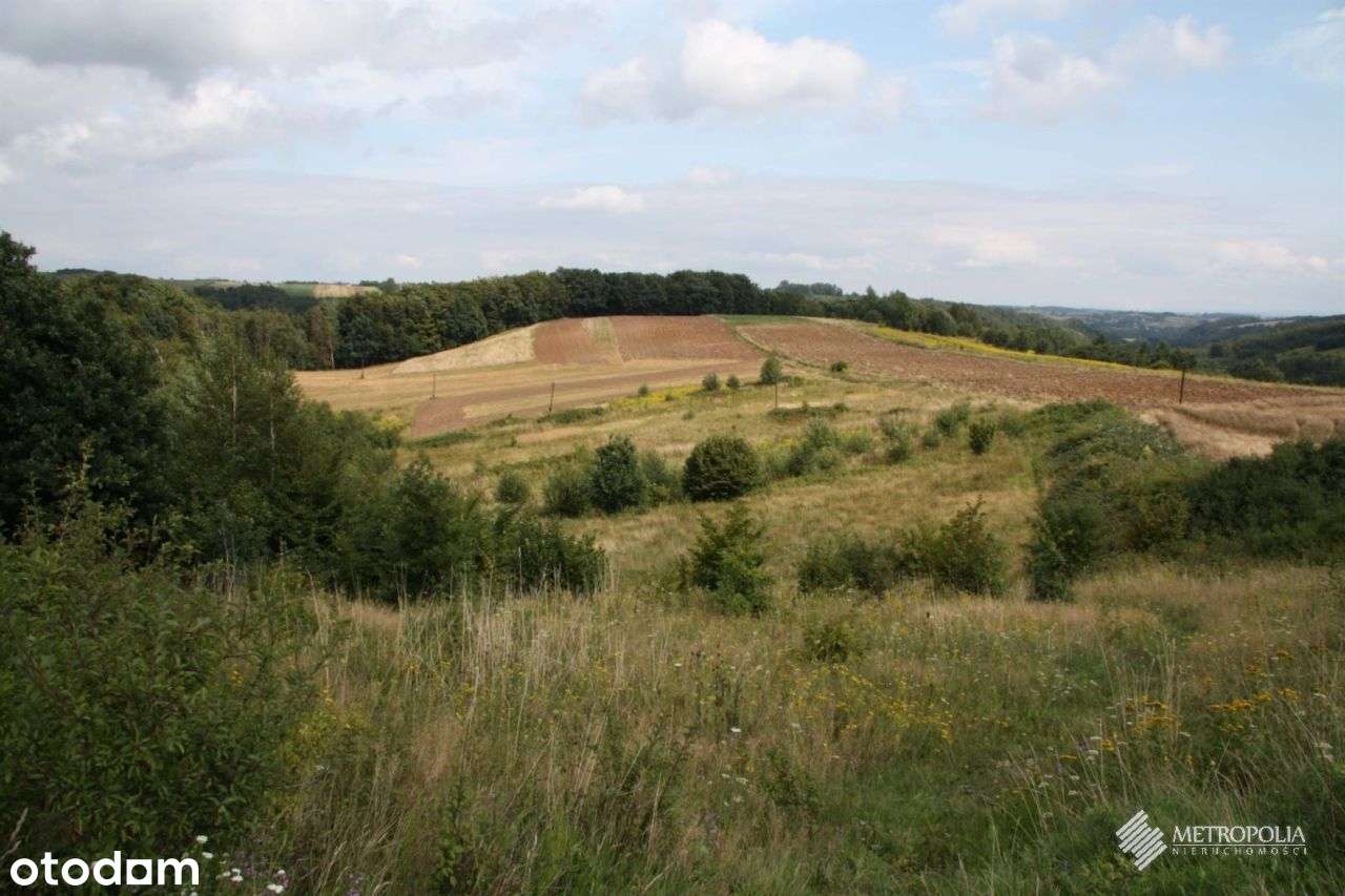 Biały Kościół | działki rolne - 1,9 ha-0