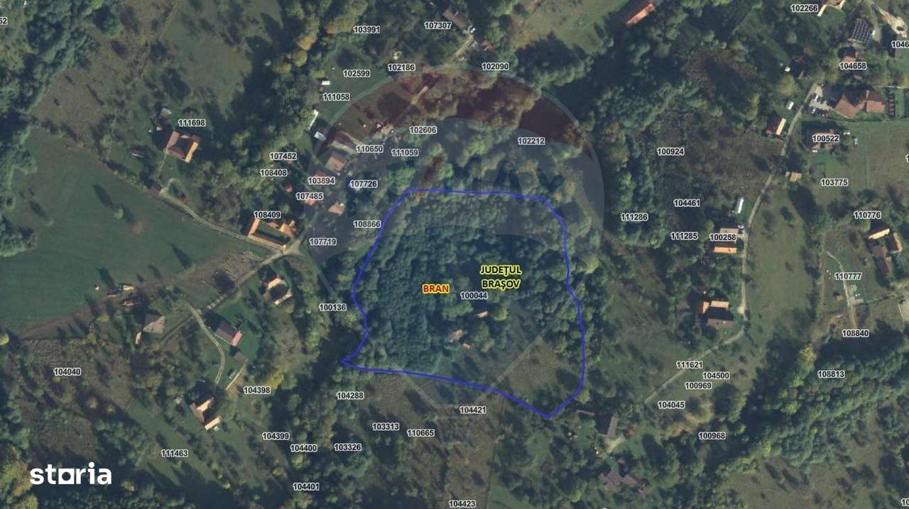 16 E+TVA/mp: Teren Bran Predelut 24253 mp intravilan proiect turistic-0