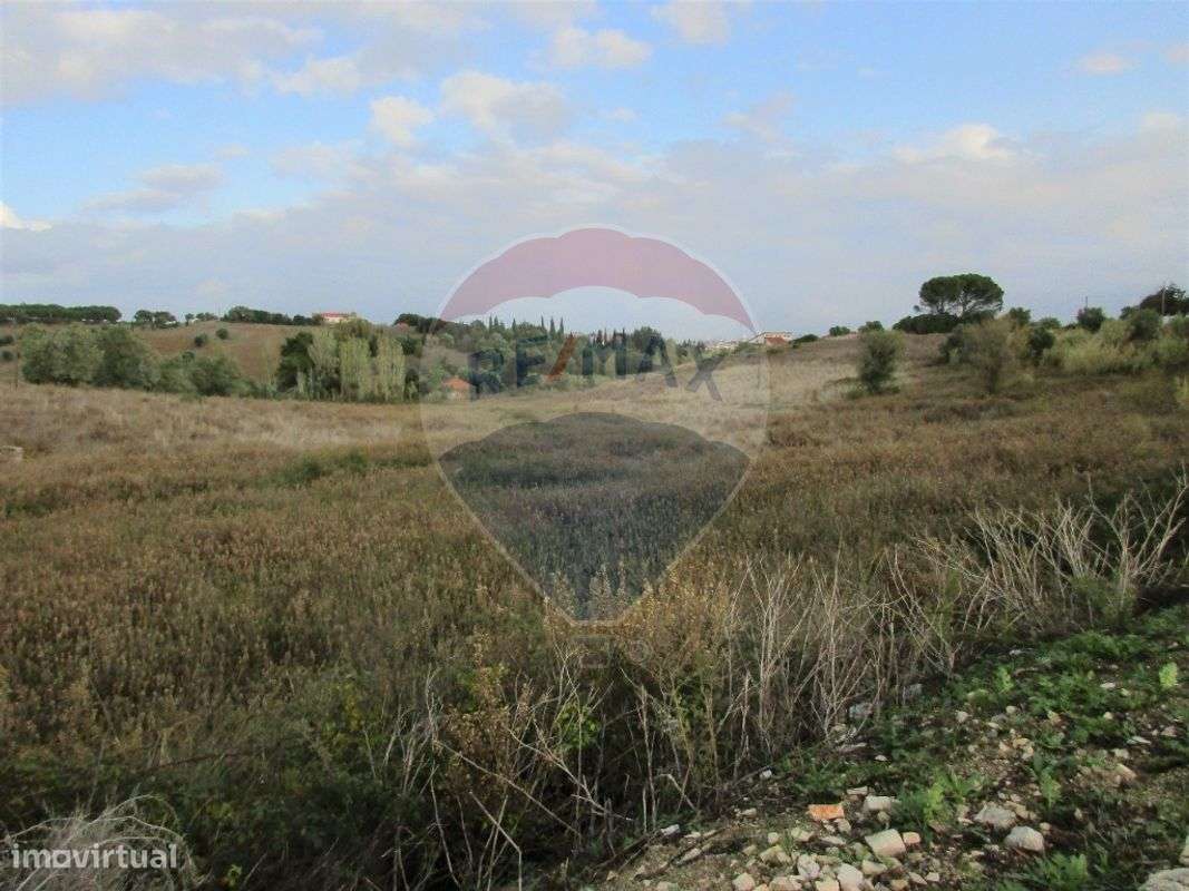 Terreno  para venda - Grande imagem: 4/10