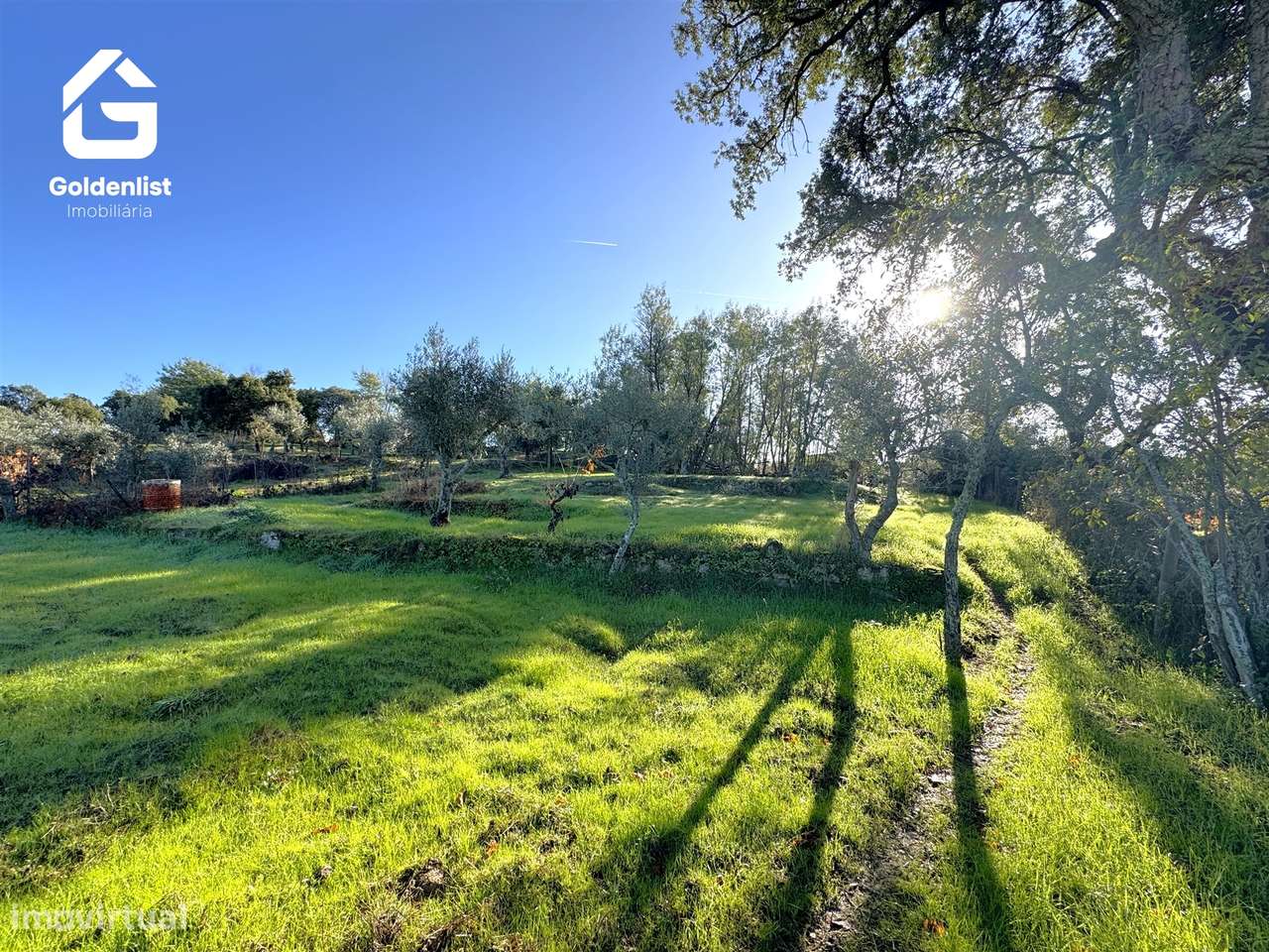 Quinta T3 Venda em Escalos de Cima e Lousa,Castelo Branco-45