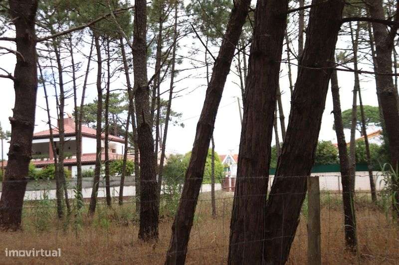 Terreno Rústico em Janas - Grande imagem: 3/11