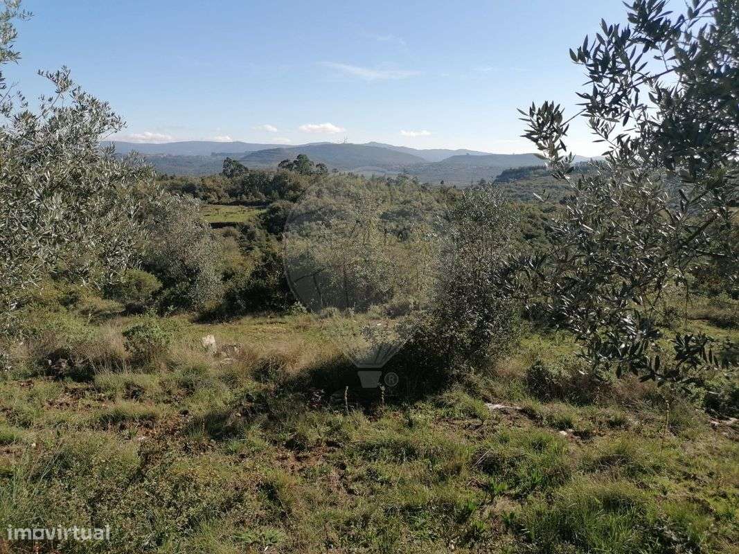 Terreno  para venda - Grande imagem: 5/5