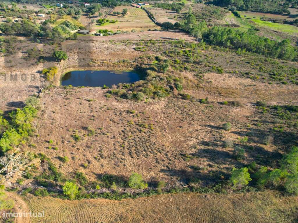 Terreno agrícola em Retaxo - Grande imagem: 4/10