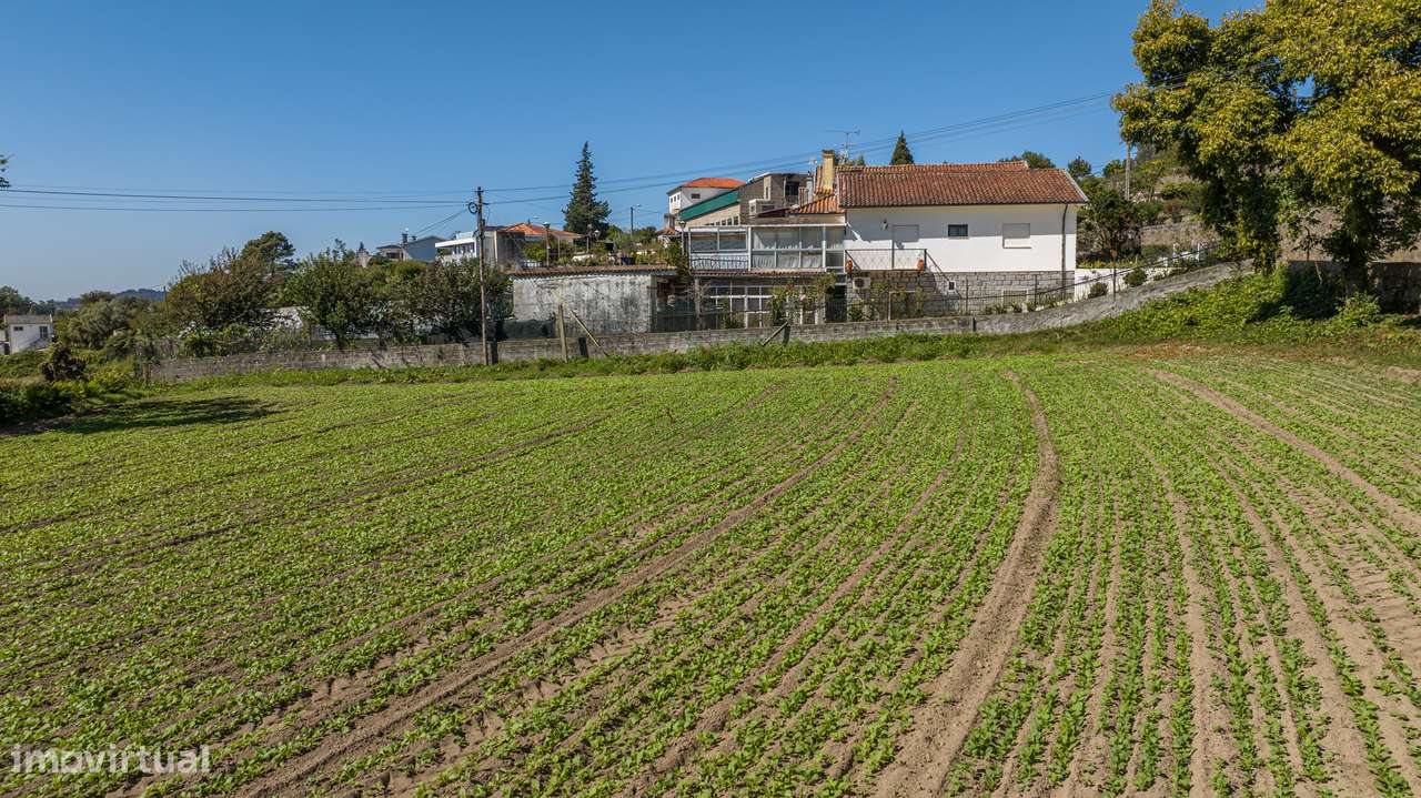 Terreno para construção de moradia individual-6