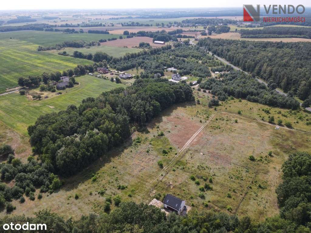 Grunty z Mpzp Pawłowo Skockie - Pełny obrazek: 4/6