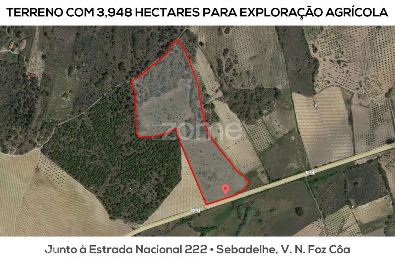 Terreno agrícola com 4 hectares, Vila Nova de Fôz Coa - Grande imagem: 4/15