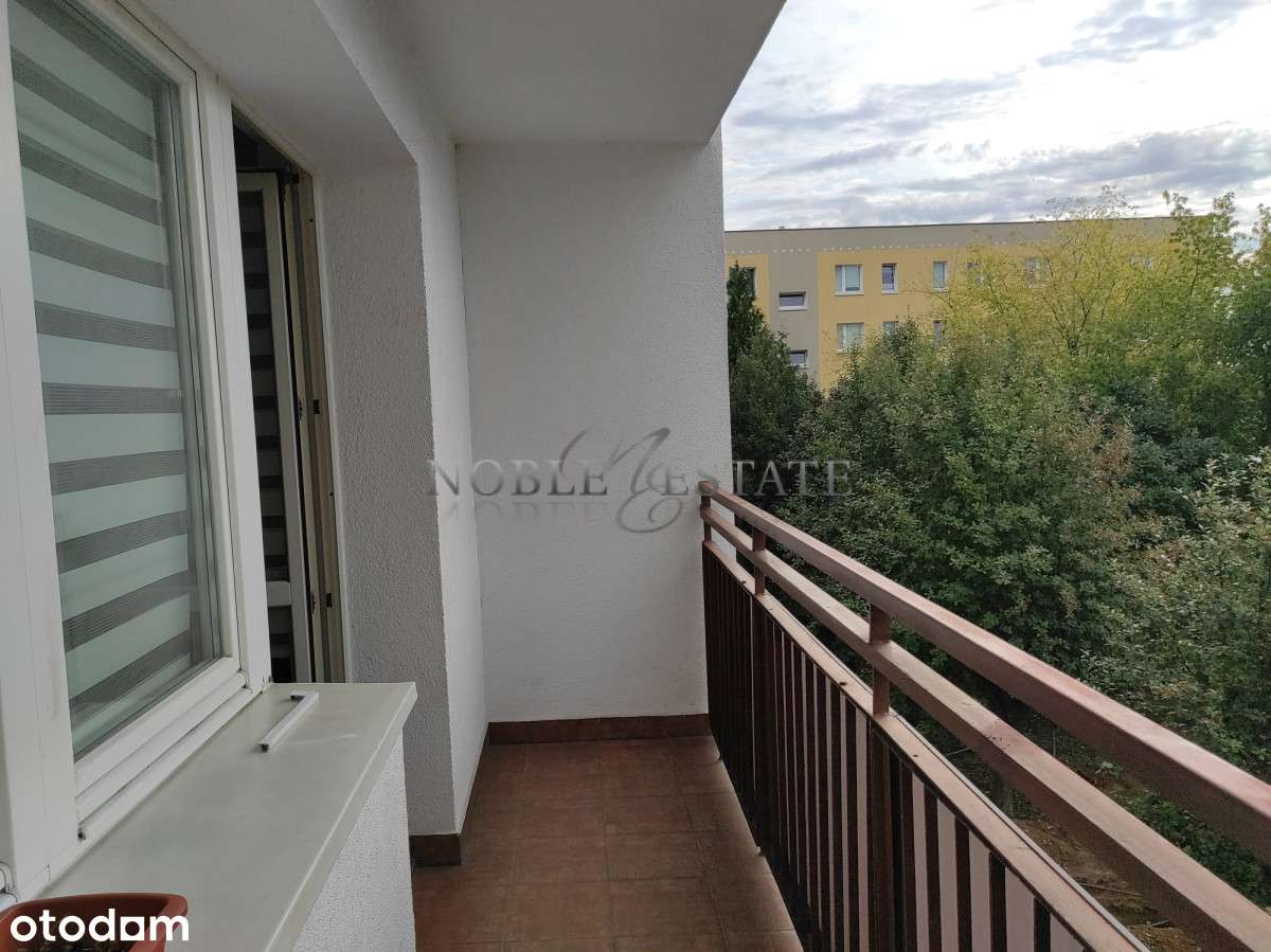 Mieszkanie do wynajęcia os.B.Śmiałego 3 pokoje - Pełny obrazek: 4/17