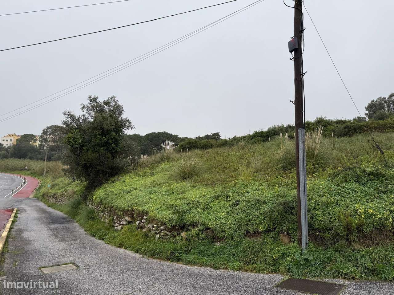 Lote de Terreno rustico com 6.000m² em Rio de Mouro - Grande imagem: 2/8