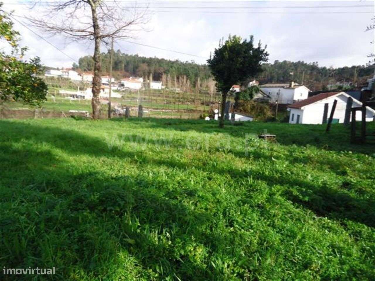 Quinta - Grande imagem: 3/12