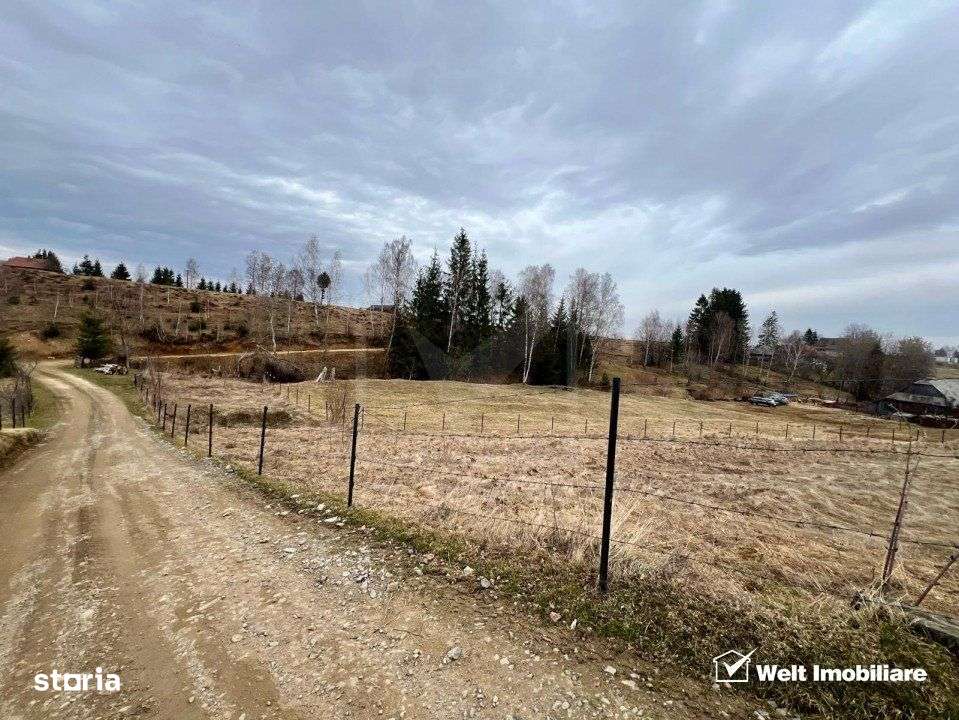 Teren pentru cabana, Risca, Valea Fericirii - Imagine principală: 2/6