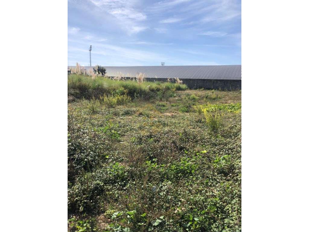 Lote de Terreno com 485 m2 Gulpilhares-4