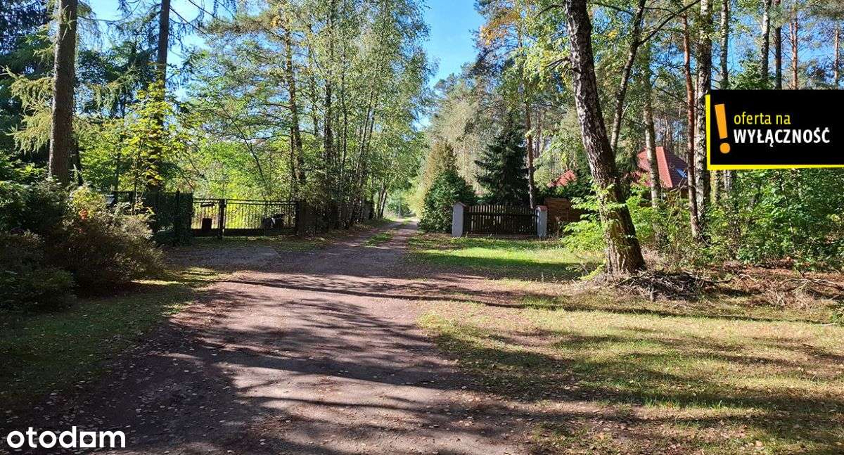 Działka leśna Suków Podmarzysz 5.600 mkw. - Pełny obrazek: 3/4