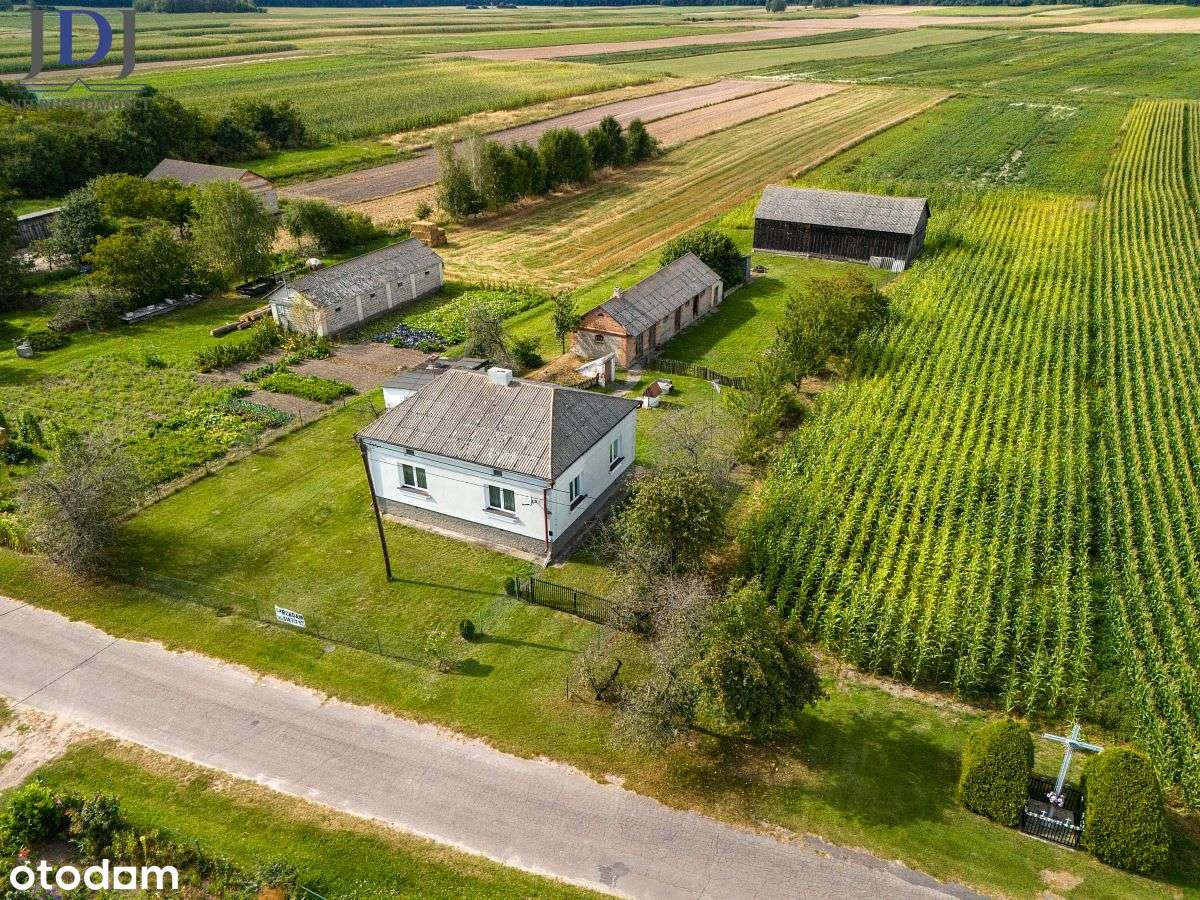Dom parterowy. Liski. Horodło. Hrubieszów. Lub. - Pełny obrazek: 4/20