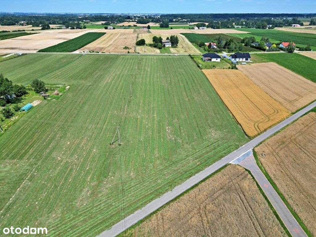 Działka budowlana 15 km od Lublina - Pełny obrazek: 5/5