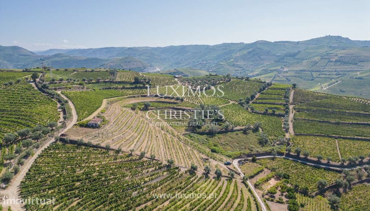 Quinta Vinícola, para venda, no Peso da Régua, Alto Douro Vinhateiro - Grande imagem: 3/25