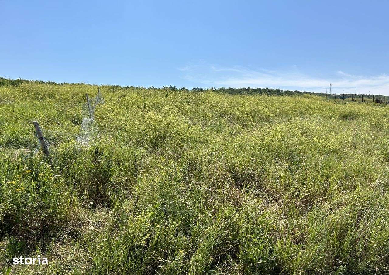 URGENT 14300 euro Teren Tomesti-Chipiresti 500mp intravilan utilitati - Imagine principală: 5/9