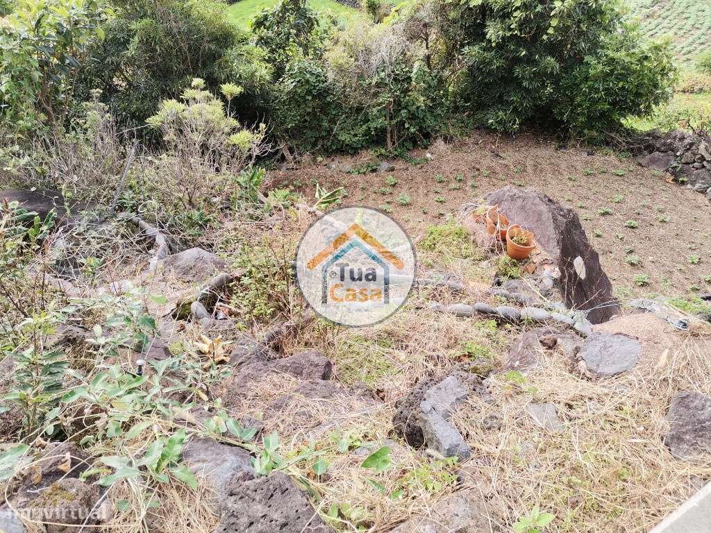 Terreno Rústico com 238mt em Fajã Vimes - Grande imagem: 5/22