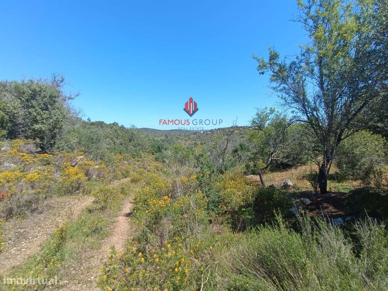 Quinta com 9 Hectares , junto ao rio Arade excelente investimento-8