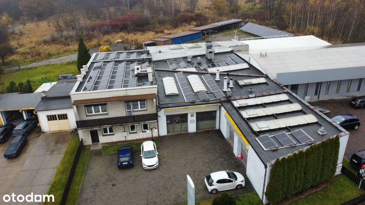 797764 - Pełny obrazek: 3/17