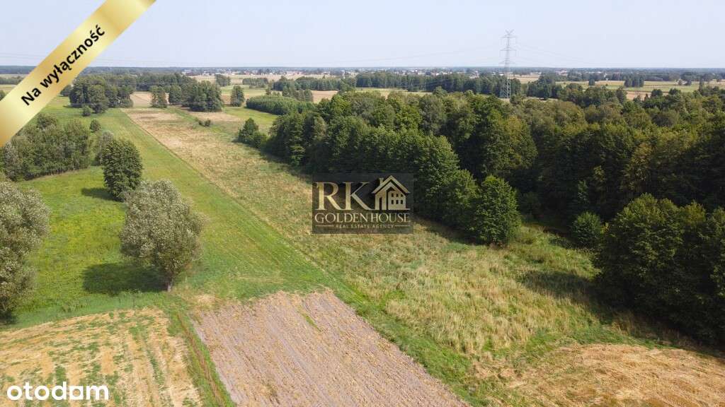 Duża działka rolna na sprzedaż z możliwością budowy domu-14