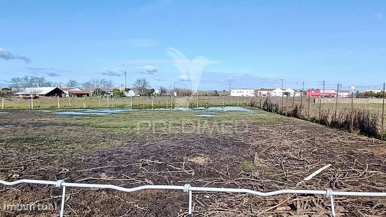 Moradia T3 + 2 com ampla área externa-9