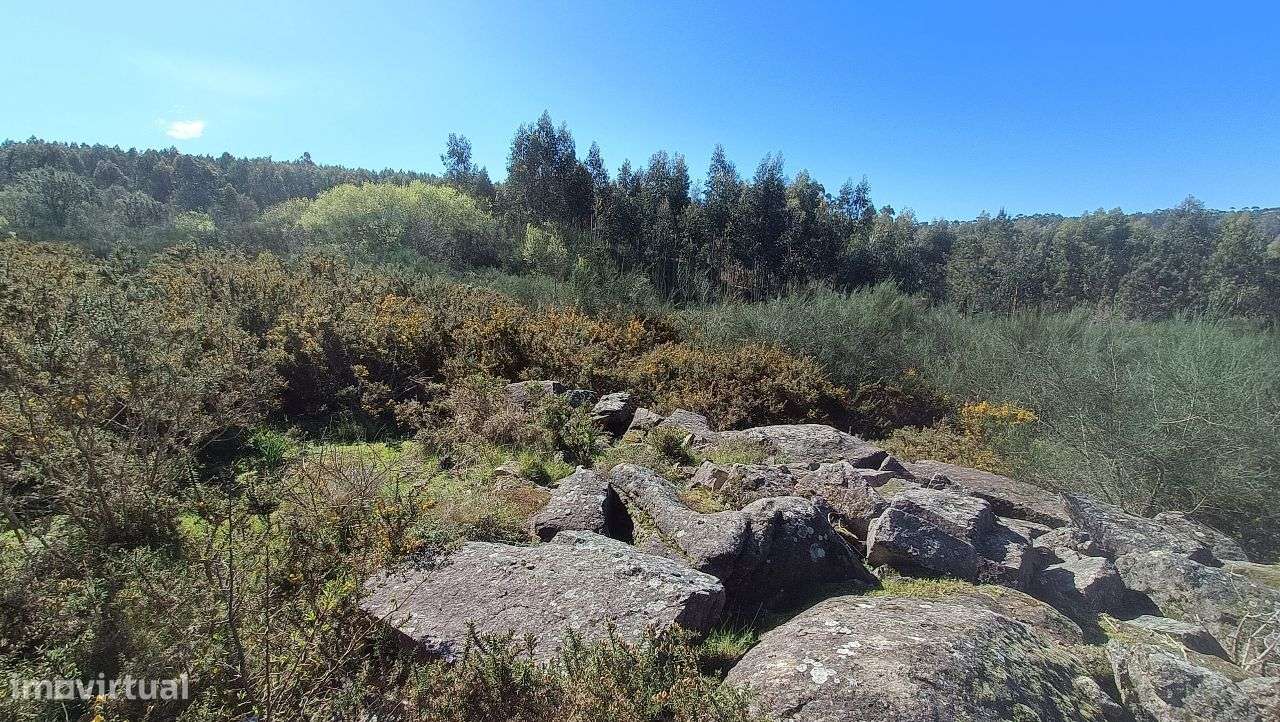 Propriedade Rústica em Santo Tirso-6