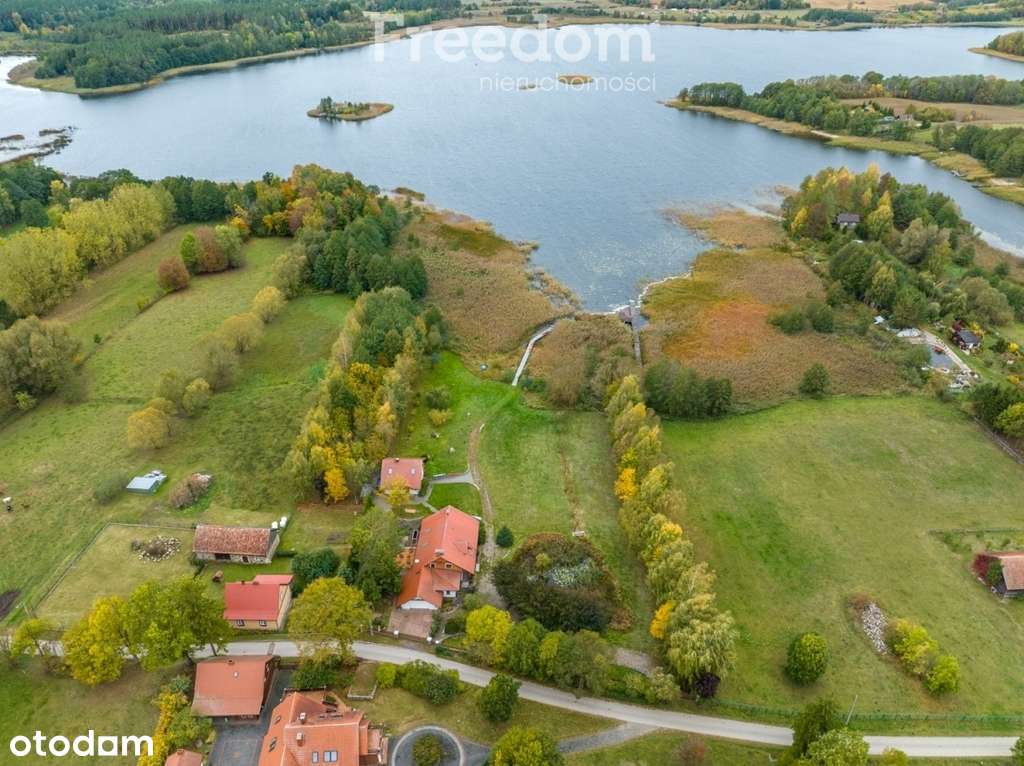 Siedlisko z linią brzegową na Mazurach - Pełny obrazek: 4/20