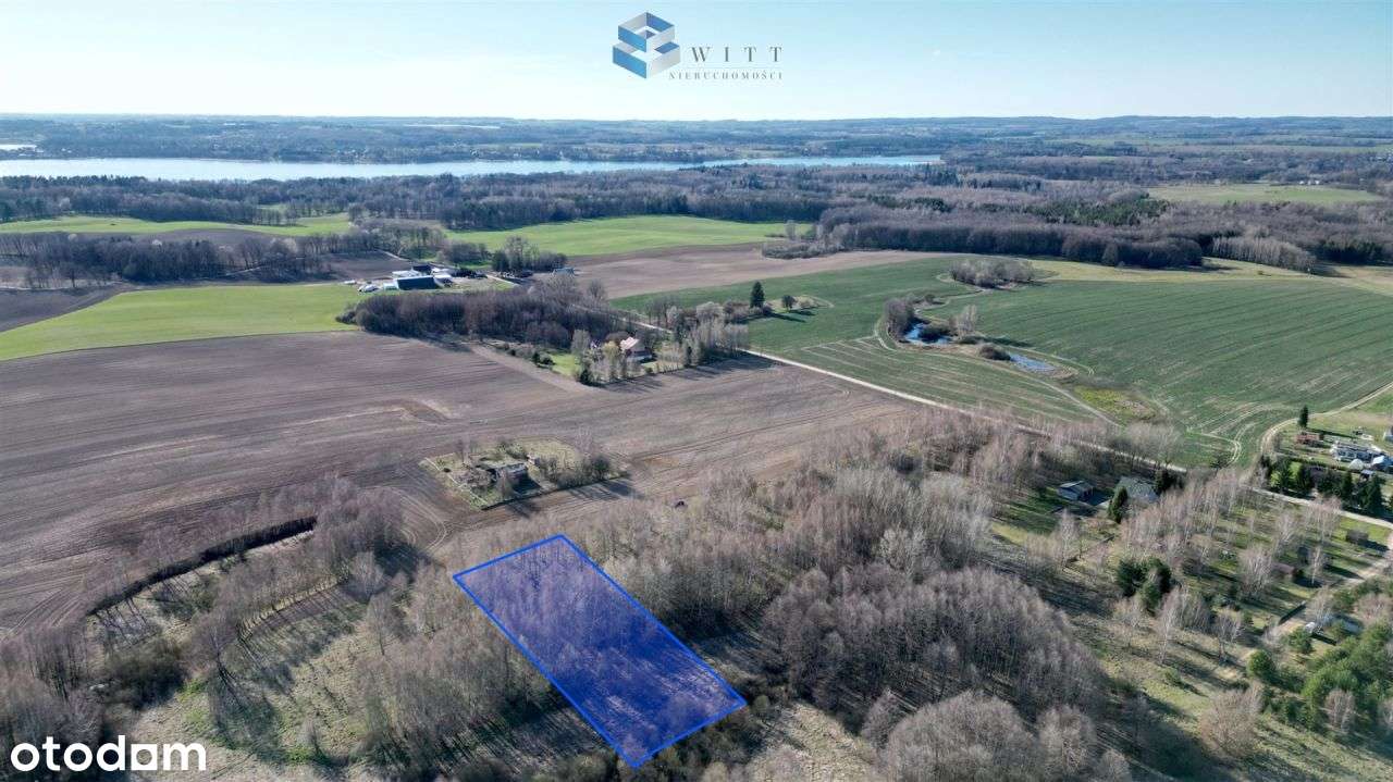 Cisza, jezioro i lasy–działka marzeń w Ostrowite - Pełny obrazek: 5/15