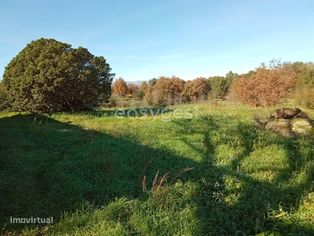 Terreno rústico com 76310m2 situado na Lage do Freixo em Caria - Grande imagem: 3/41