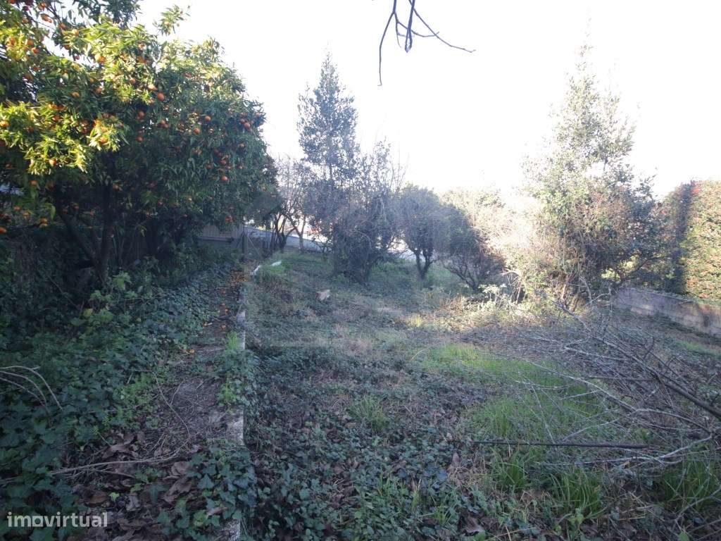 Moradia T3 em Junqueira, Vale de Cambra - Para Recuperar - Grande imagem: 5/9