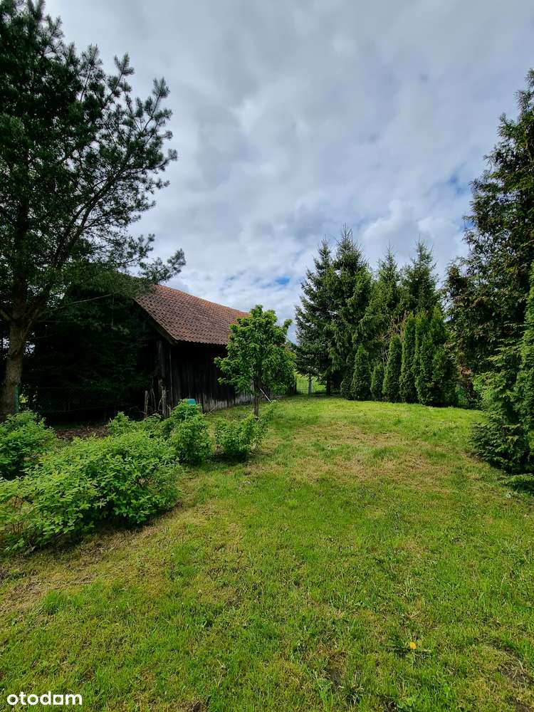 Działka, 79 000 m², Henrykowo-5