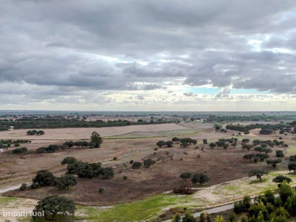 TERRENO DE 22,45 HA COM RUÍNA DE 240 M² PARA RECUPERAÇÃO EM FERREIR...-11