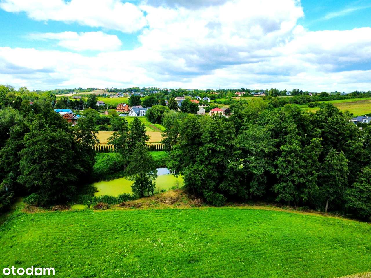 Wyjątkowa działka 81 ar | Przybysławice | staw, zieleń, media, MPZP-11