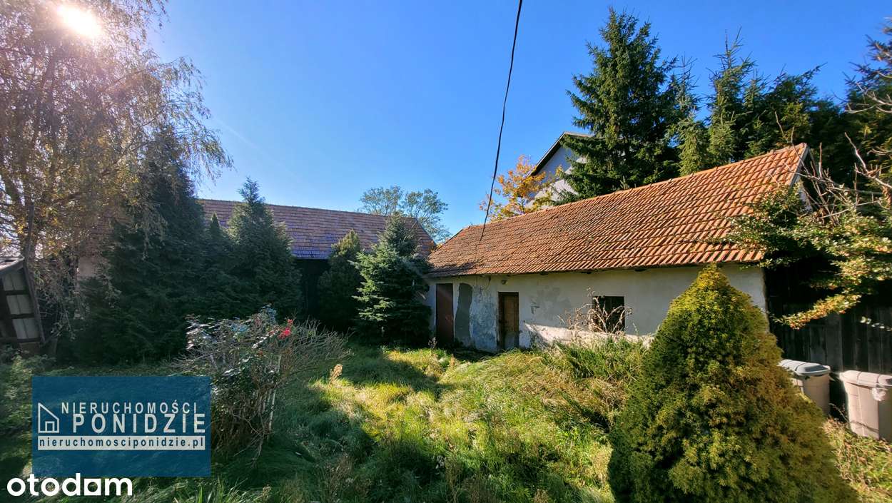 Dom 80 m2 na działce 2677 m2 Skrzypiów/Pińczów-16