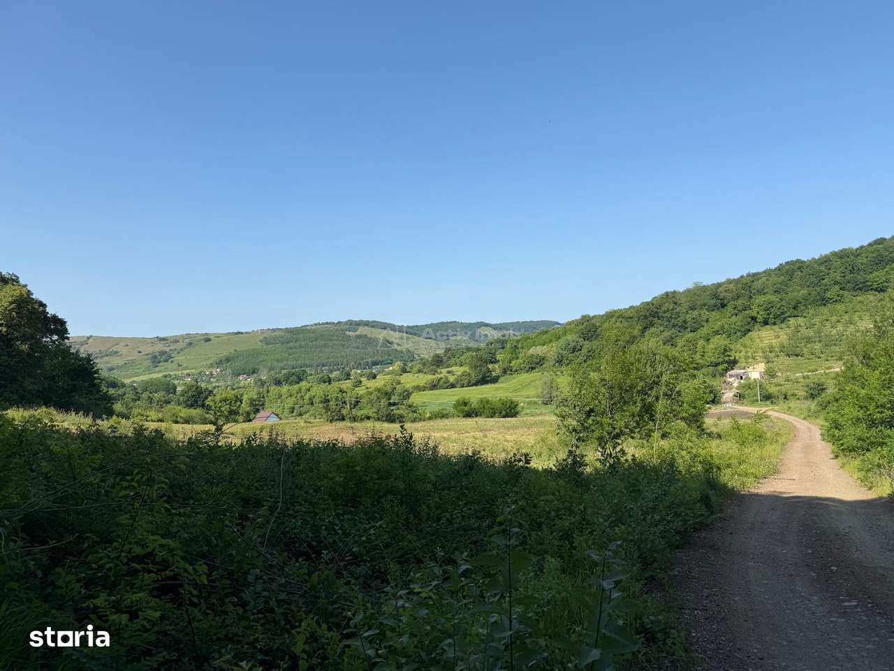 Teren de vanzare la liziera padurii  Sura Mare - Imagine principală: 4/6