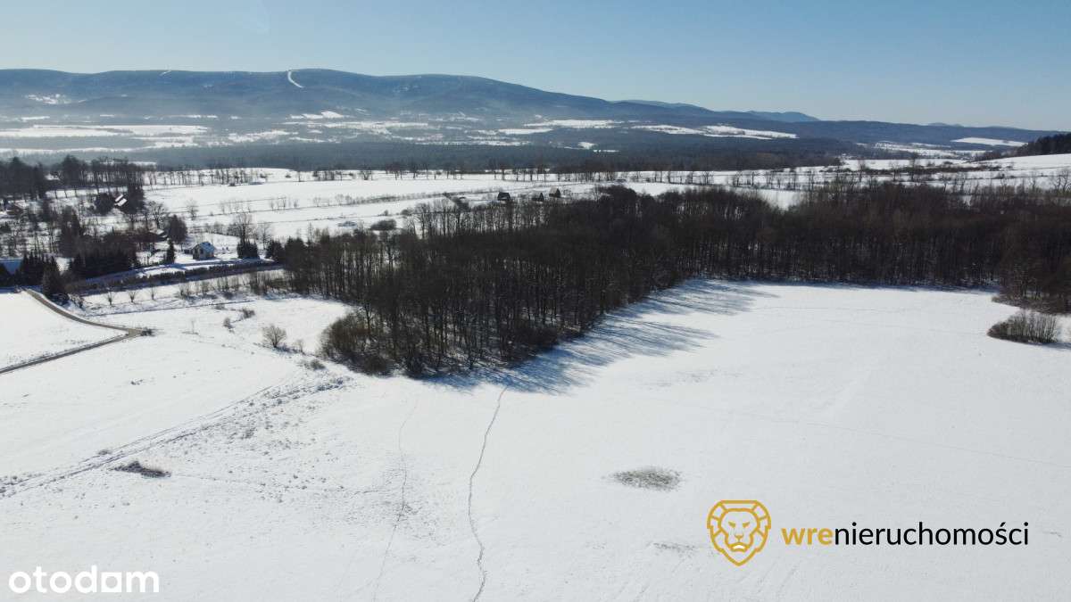 Klimatyczna działka budowlana+Usługi-8