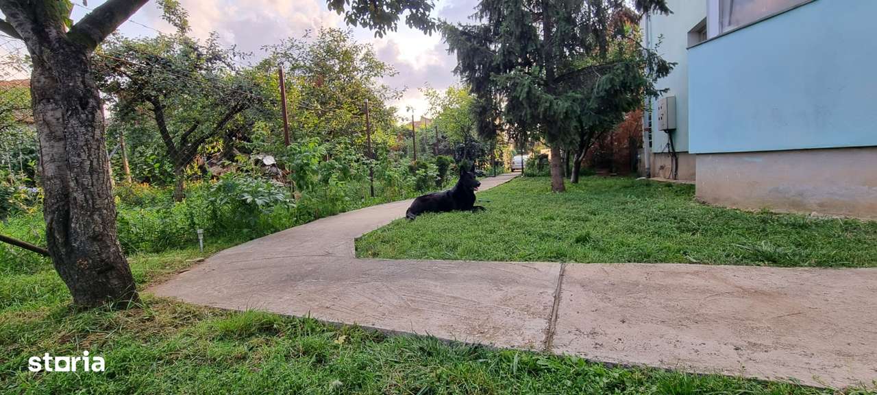 De vânzare apartament 2 camere la curte-8