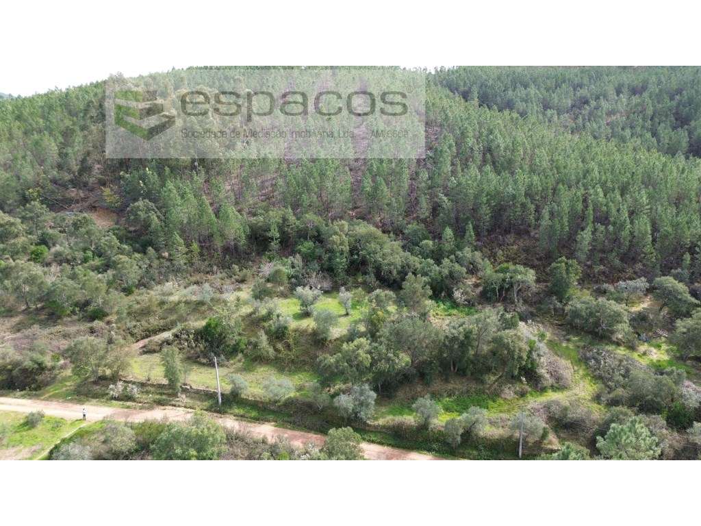 Terreno Rústico Venda Castelo Branco - Grande imagem: 2/10