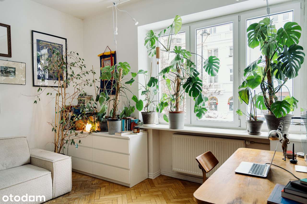 Jasne, wysokie, ciche, 2-pok w przedwojennej kamienicy - Stary Mokotów - Pełny obrazek: 3/15