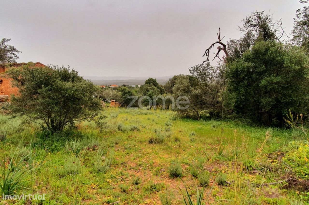 Terreno com viabilidade de Construção em Messines