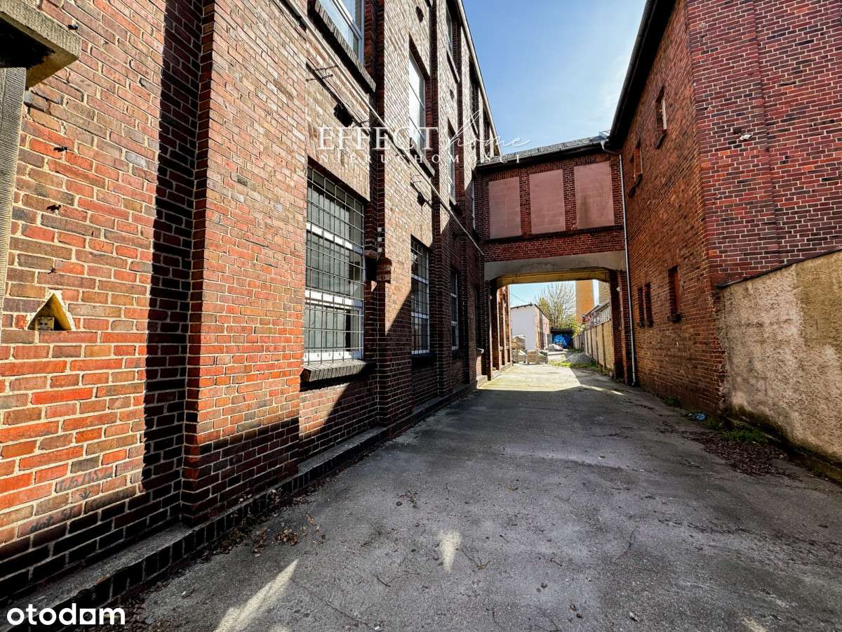 Teren przemysłowy hala produkcyjna 1550 m² - Pełny obrazek: 5/15